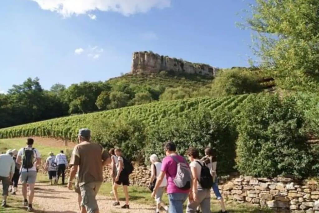 Detente Centre Historique De Macon Avec Spa Et Cine Esterno foto